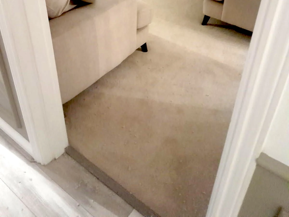 Beige carpet in Newcastle hallway aerial view fitted by Foxglove Flooring